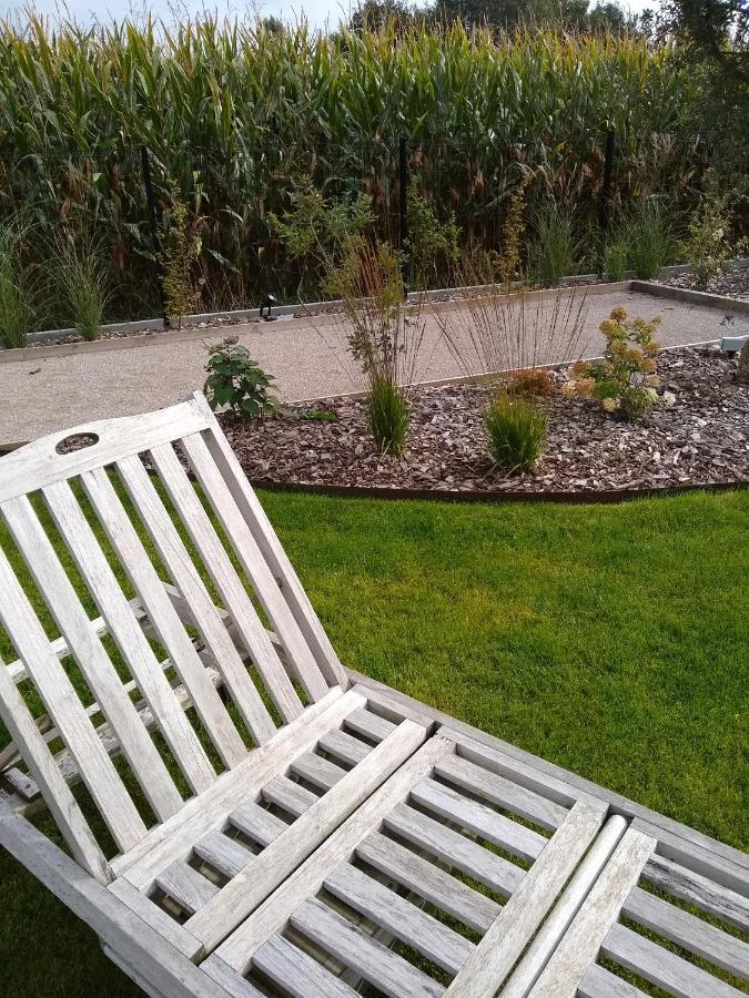 Les Agapanthes Bed & Breakfast Camphin-en-Pevele Exterior photo